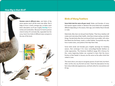 Birder's Logbook: A Sticker Book For Budding Ornithologists - Lemon And Lavender Toronto