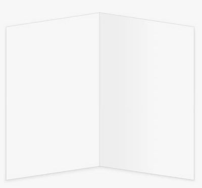 Birthday Bugs Greeting Card - Lemon And Lavender Toronto