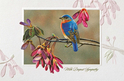 Bluebird in Maple Greeting Card - Lemon And Lavender Toronto