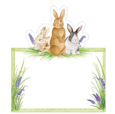 Bunnies and Daffodils Die-Cut Place Cards - 8 Per Package - Lemon And Lavender Toronto