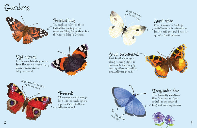 Butterflies to Spot - Usborne Book - Lemon And Lavender Toronto