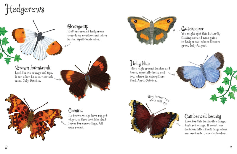 Butterflies to Spot - Usborne Book - Lemon And Lavender Toronto