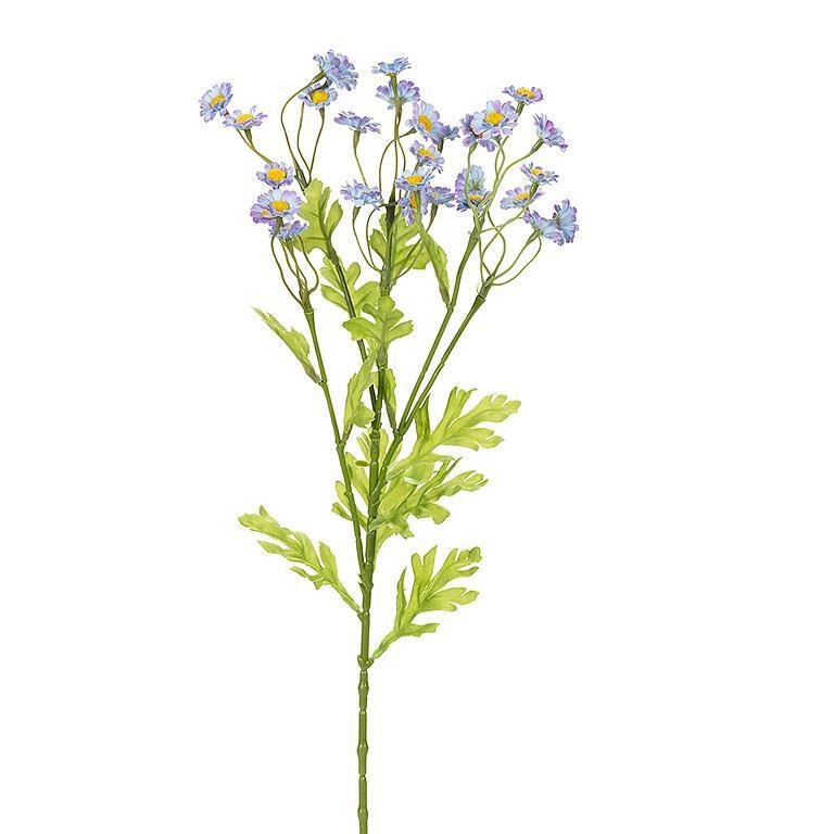 Camomile Flower Stem - Lemon And Lavender Toronto