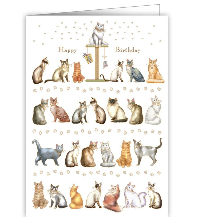 Cat Themed Happy Birthday - Lemon And Lavender Toronto