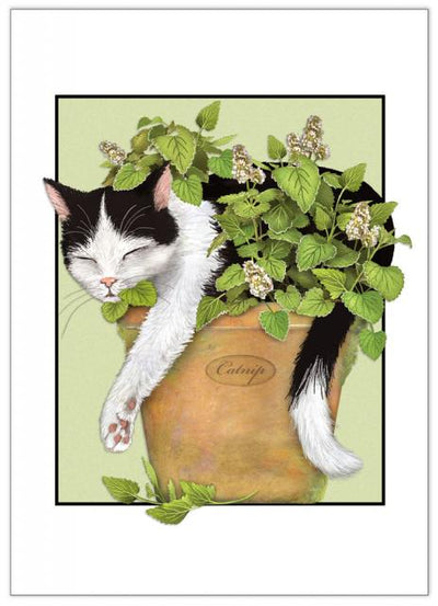 Catnip Cat Card - Lemon And Lavender Toronto