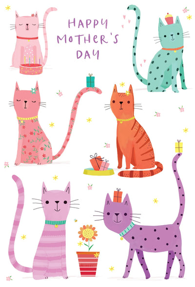 Cats Whiskers Mother's Day Card - Lemon And Lavender Toronto