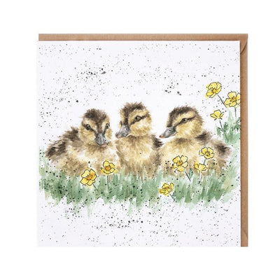 Cheer up Buttercup Card - Lemon And Lavender Toronto