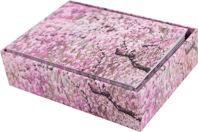 Cherry Blossom Note Cards ( Boxed Cards) - Lemon And Lavender Toronto