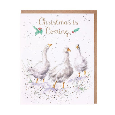 'CHRISTMAS IS COMING' GOOSE CARD - Lemon And Lavender Toronto