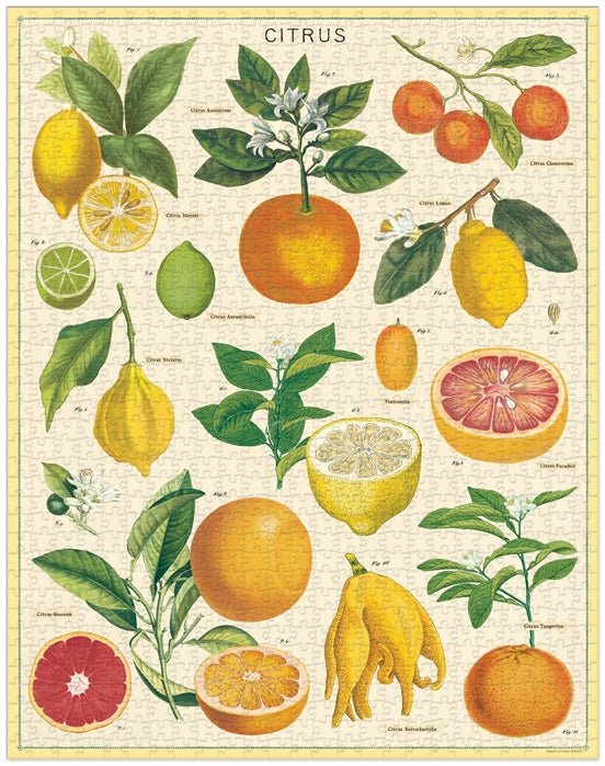 Citrus 1,000 Piece Puzzle - Cavallini - Lemon And Lavender Toronto