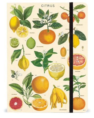 Citrus Large Notebook Cavallini & Co. - Lemon And Lavender Toronto
