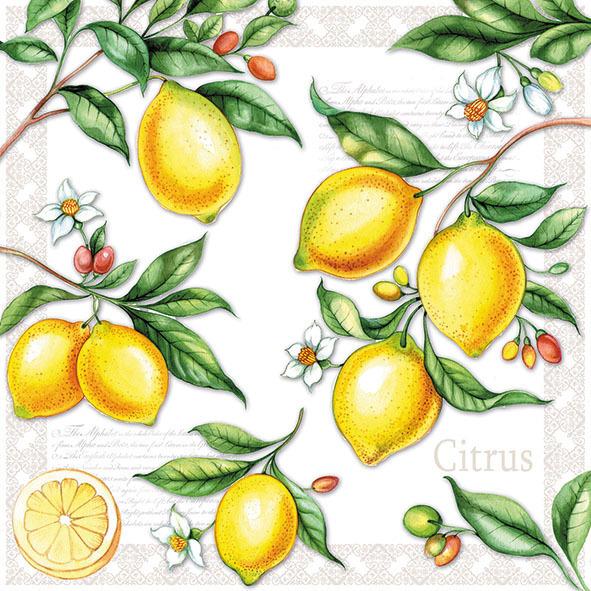 Citrus-Lunch Napkin - Lemon And Lavender Toronto