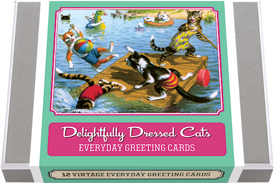 Delightfully Dressed Cats Greeting Card Box - Lemon And Lavender Toronto
