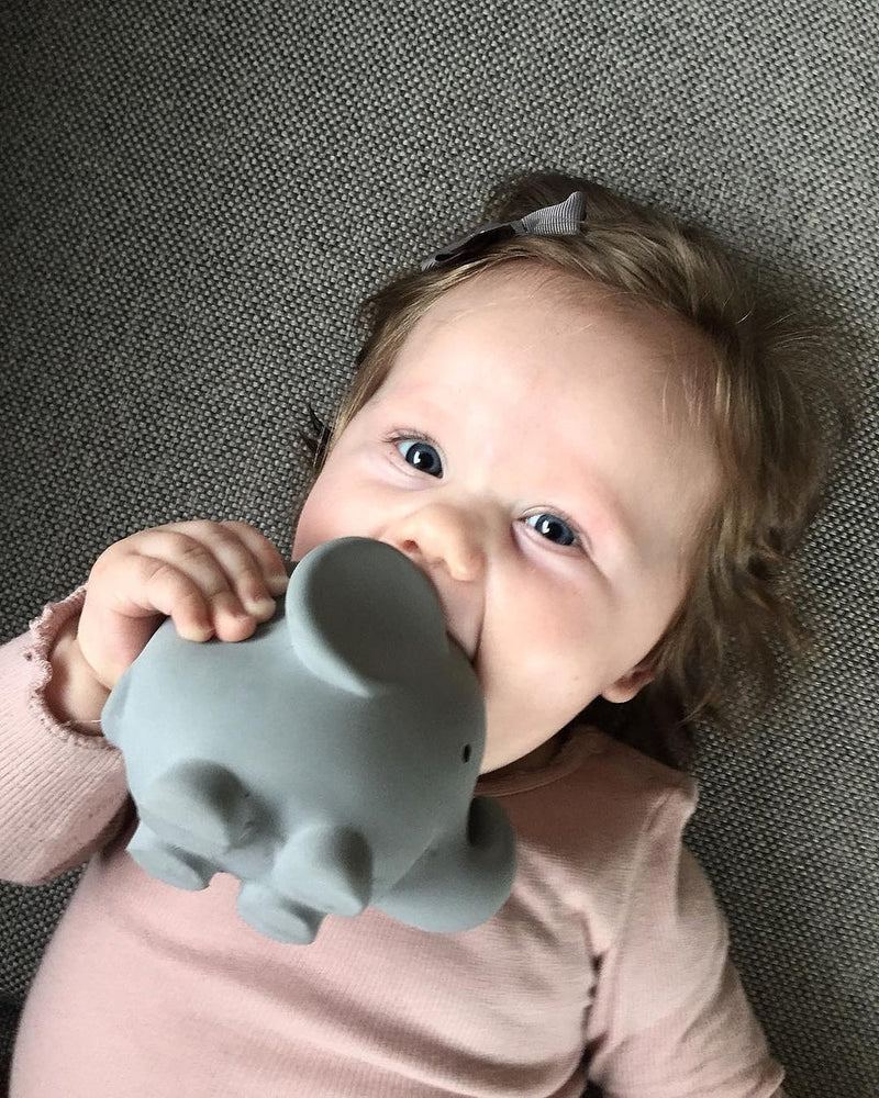 Elephant-Organic Natural Rubber Rattle. Teether & Bath Toy - Lemon And Lavender Toronto