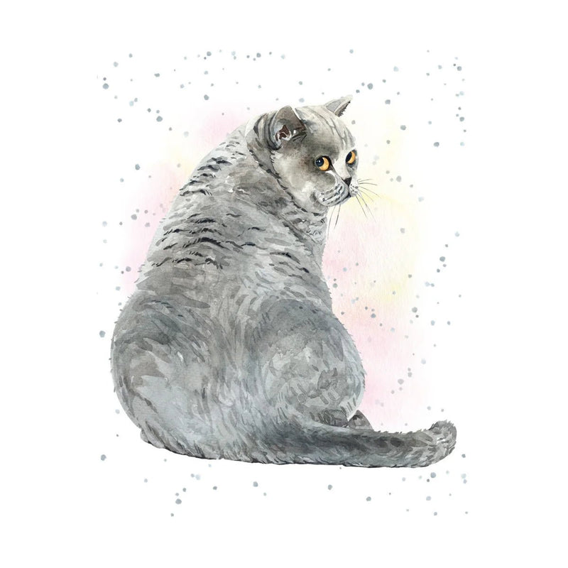 Enclosure Card-Grey Cat - Lemon And Lavender Toronto