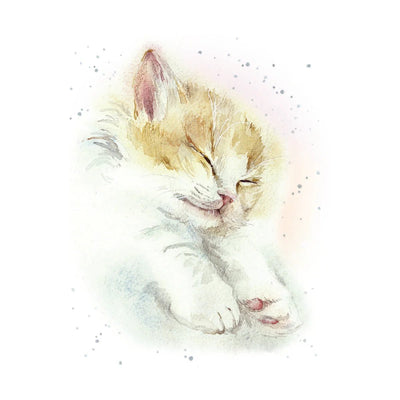 Enclosure Card-Softest Kitten - Lemon And Lavender Toronto