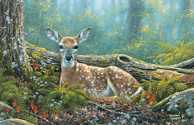 Endearing Fawn Greeting Card - Lemon And Lavender Toronto