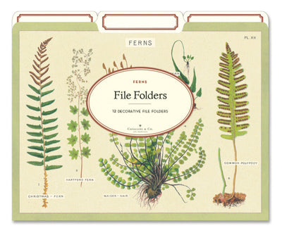 Fern File Folders - Lemon And Lavender Toronto