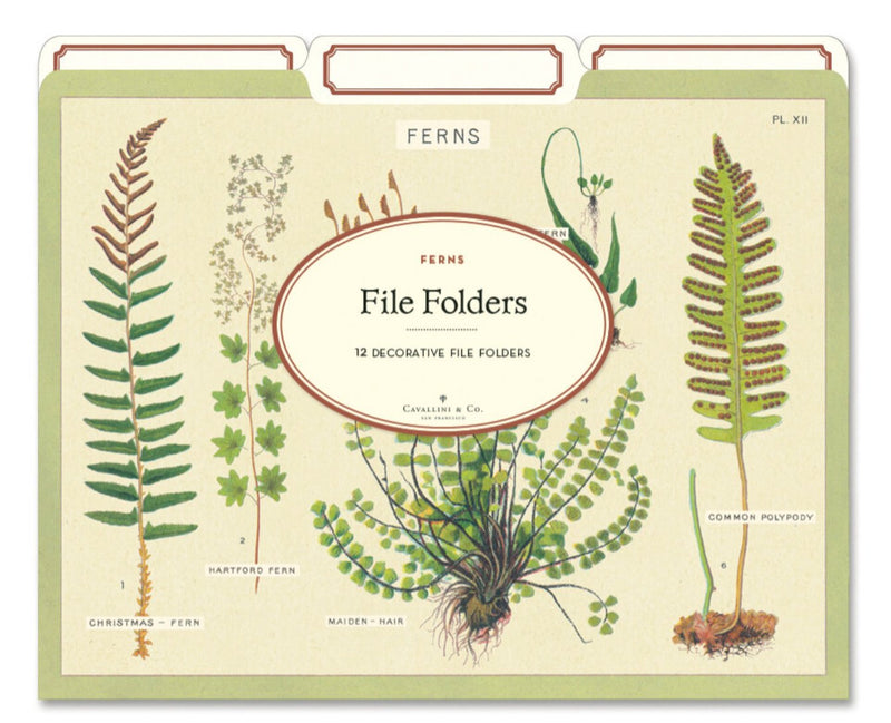 Fern File Folders - Lemon And Lavender Toronto