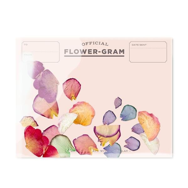 Flowergram - Peony, Rose + Hydrangea - Lemon And Lavender Toronto