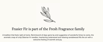 Frasier Fir Petite Pine Needle Reed Diffuser - 118ml - Lemon And Lavender Toronto