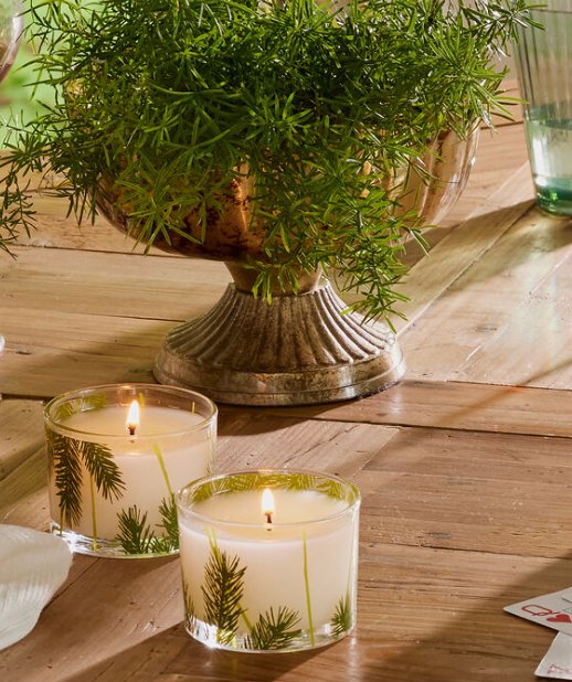 Frasier Fir Pine Needle Candle Set - Lemon And Lavender Toronto