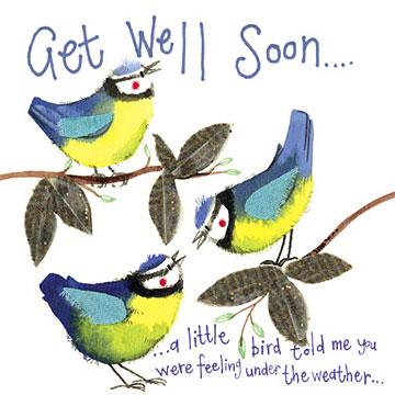 Get Well Soon..a little bird told me you were feeling under the weather - Lemon And Lavender Toronto