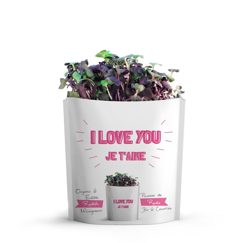 Gift-a-Green : I love You Pouch - Lemon And Lavender Toronto