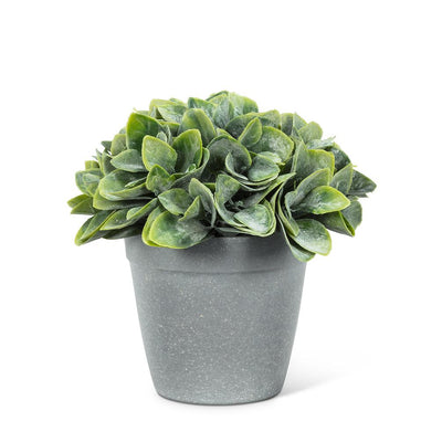 Green Spade Leaf Plant Pot - Lemon And Lavender Toronto