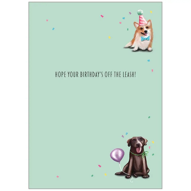 Happy Birthday Dogs Birthday Card - Lemon And Lavender Toronto