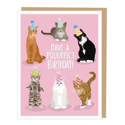 Have a Puurfect Birthday Card - Lemon And Lavender Toronto