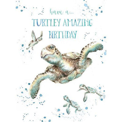 Have a Turtley Amazing Birthday Card - Lemon And Lavender Toronto