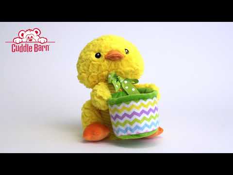 Interactive Singing Chick Plush Toy
