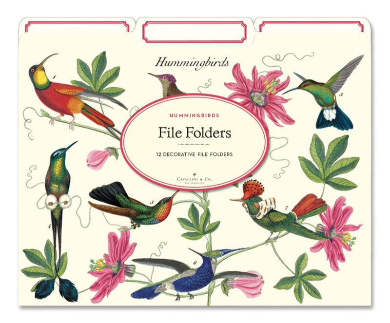 Hummingbirds File Folders - Cavallini - Lemon And Lavender Toronto