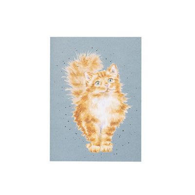'JUST PURRR-FECT' CAT SMALL NOTEBOOK - Lemon And Lavender Toronto