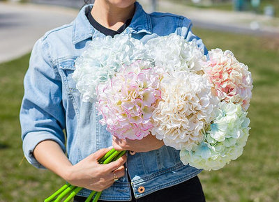 Large Hydrangea Stem - Lemon And Lavender Toronto