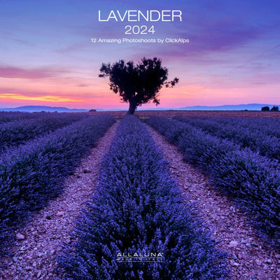 Lavender Calendar 2024 - Lemon And Lavender Toronto