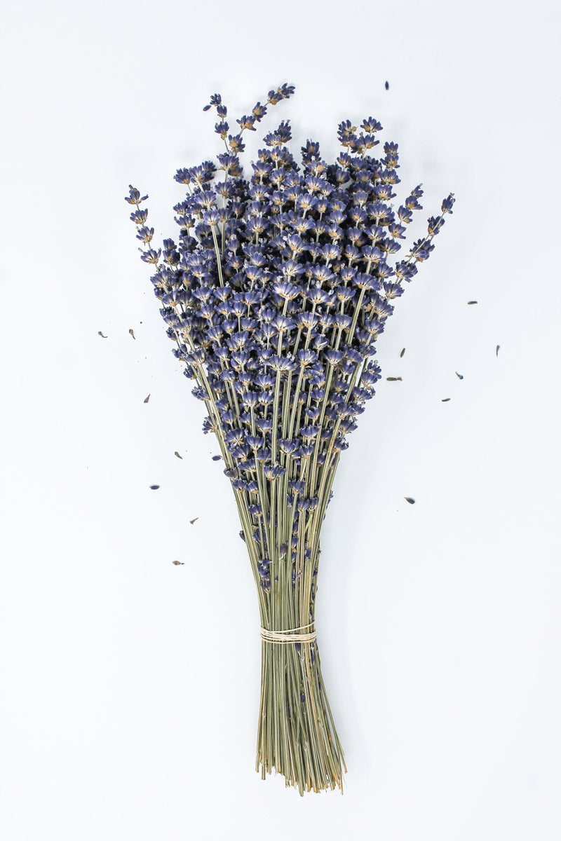Lavender Dried Bouquet *BEST SELLER* - Lemon And Lavender Toronto