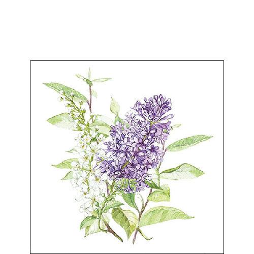 Lilac white background-Cocktail Size - Lemon And Lavender Toronto