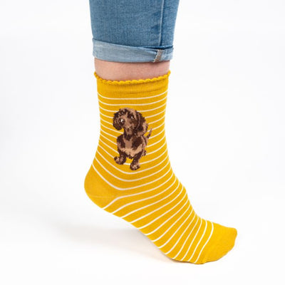 Little One Dachshound Womens Socks - Lemon And Lavender Toronto