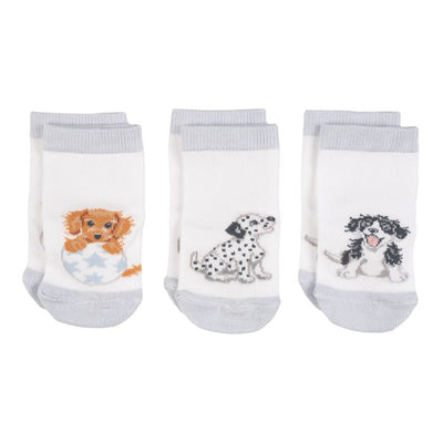 Little Paws Baby Socks - Lemon And Lavender Toronto