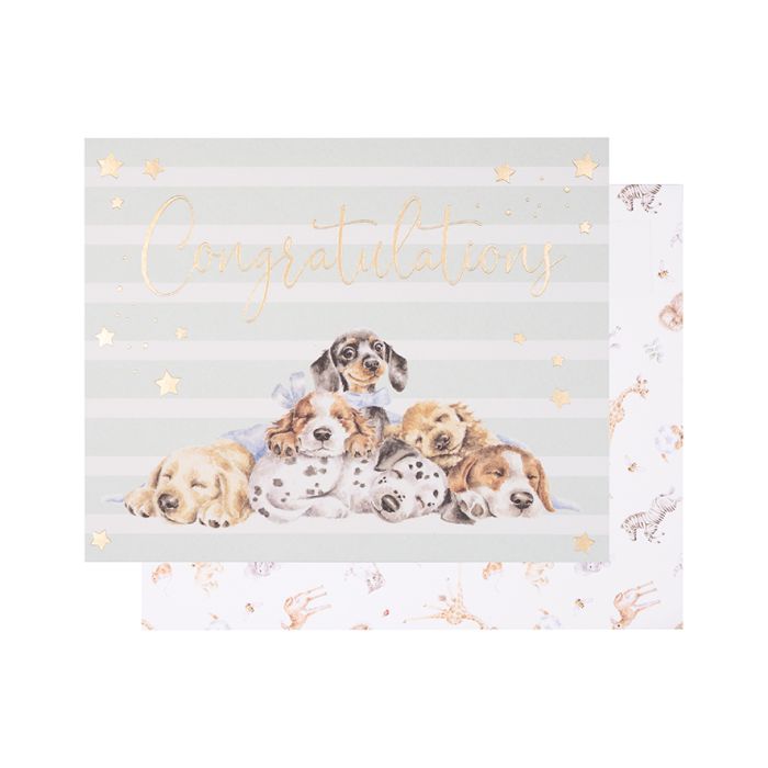 Little Paws - Congratulations Card - Lemon And Lavender Toronto