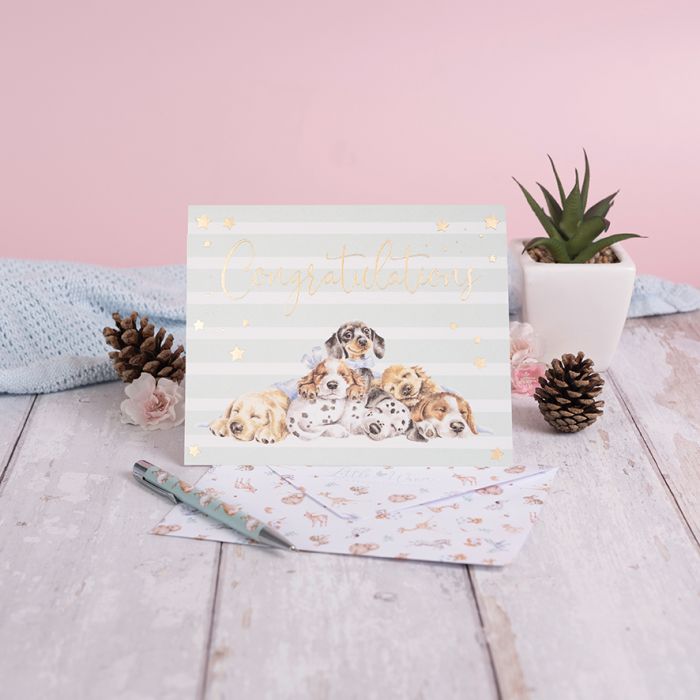 Little Paws - Congratulations Card - Lemon And Lavender Toronto