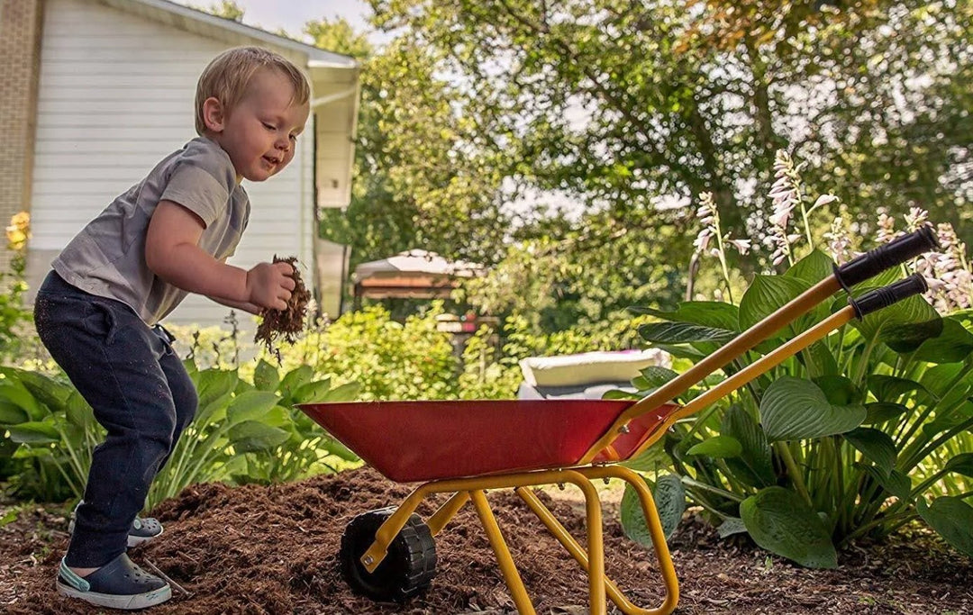 Melissa and doug wheelbarrow online