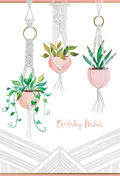 Macrame Planters Birthday Card - Lemon And Lavender Toronto