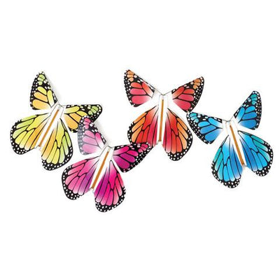 Magic Flying Butterfly - Lemon And Lavender Toronto
