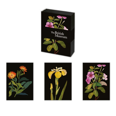 Mary Delaney Flowers Mini Notebook Set of 3 - Lemon And Lavender Toronto