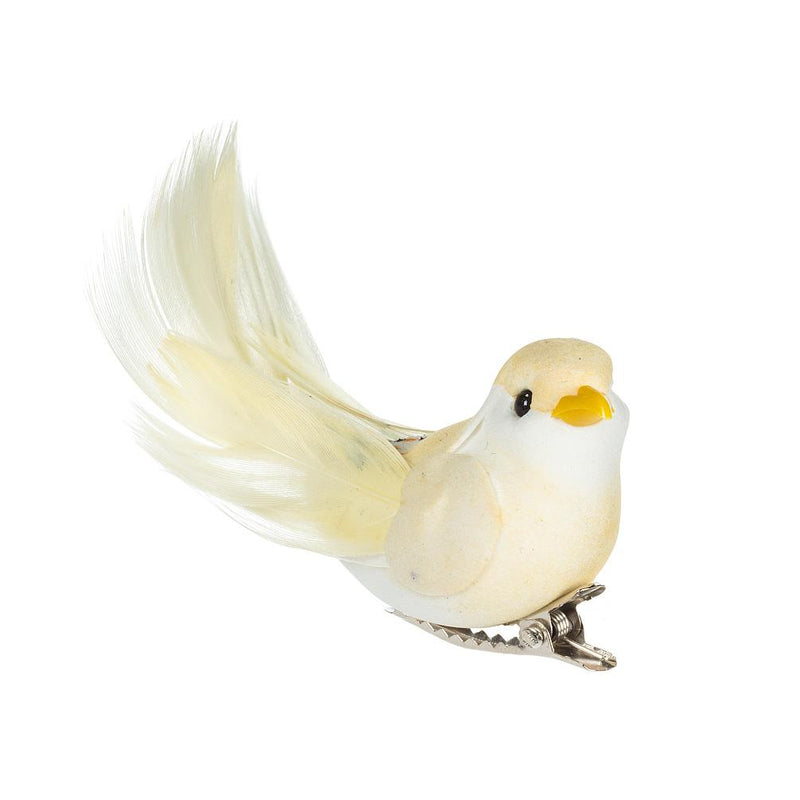 Mini Pastel Bird 🐦 - Lemon And Lavender Toronto