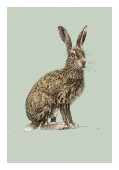 Natural History Hare Card - Lemon And Lavender Toronto