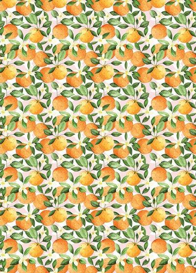 Oranges 🍊 Gift Wrap Roll - Lemon And Lavender Toronto